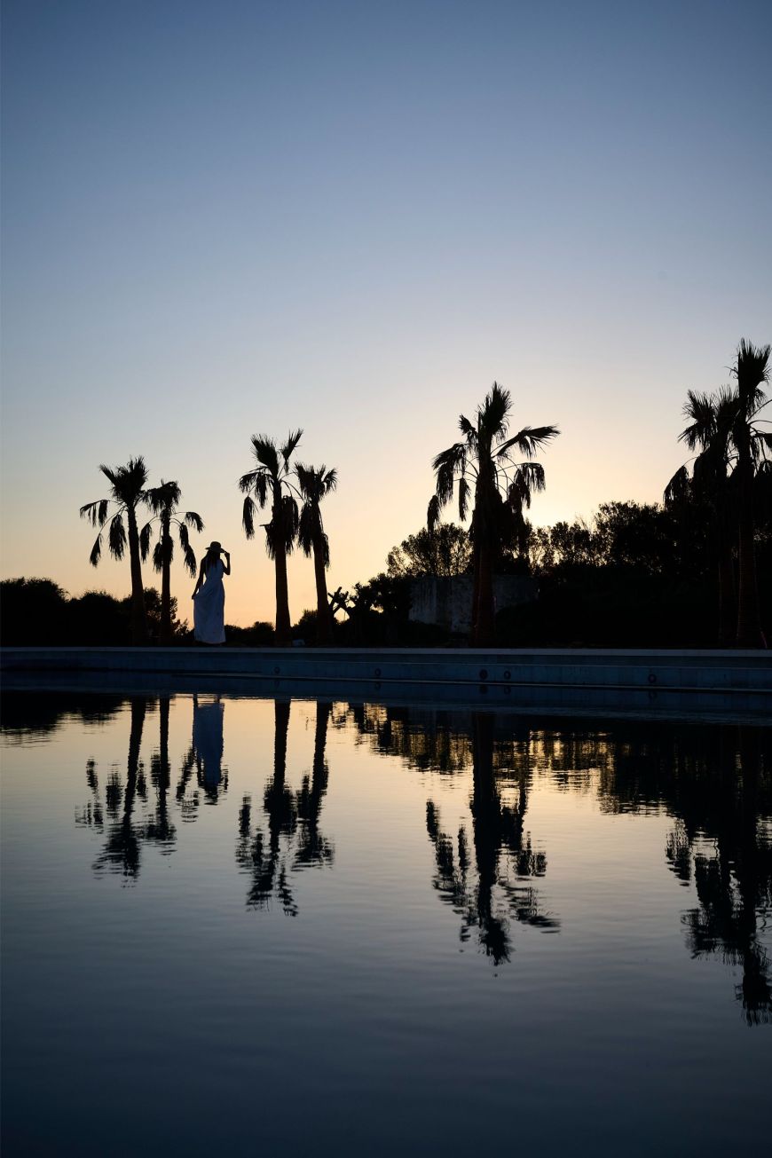 Palm trees
