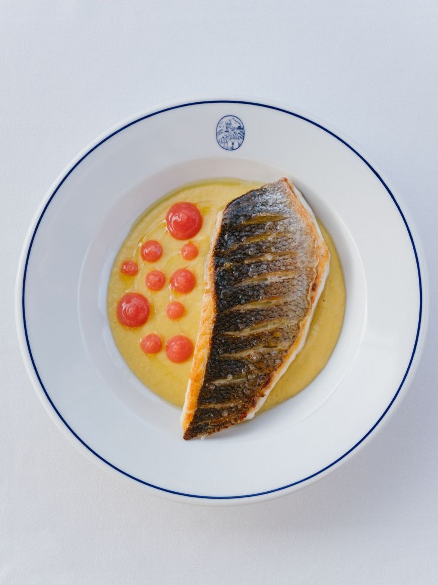 Gastronomy